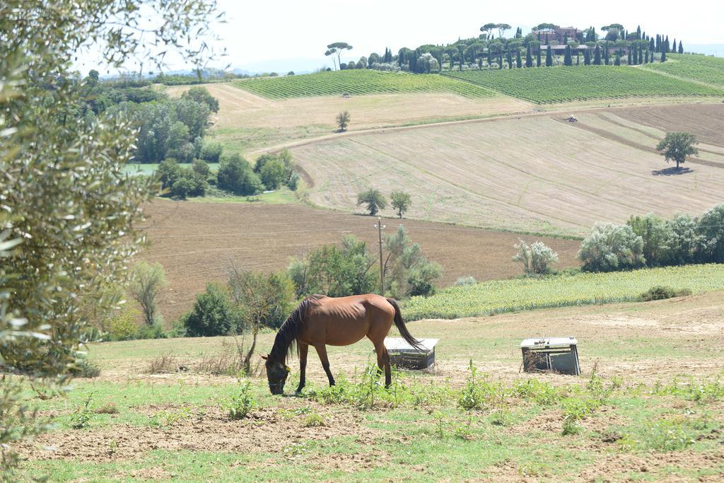 Agriturismi Farina Castiglione del Lago Bagian luar foto